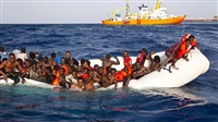 NGOs Urge EU to Stop