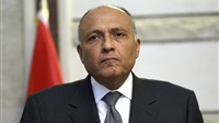 Egypt supports will