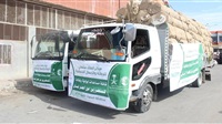 Saudi Arabia and