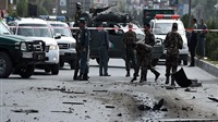 29 killed, injured
