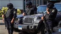 Egypt police kill