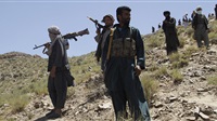 13 Taliban militants