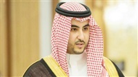 Saudi vice defense