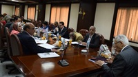 Egypt's Supreme Council
