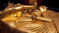 Egypt asks Interpol