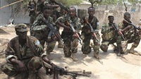 Somali army kills