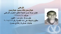 Egypt's Interior