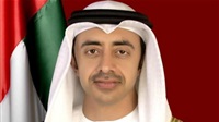 UAE FM: Efforts should