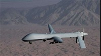 Coalition forces