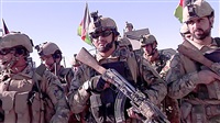 Afghan forces kill