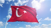 Turkey detains 5