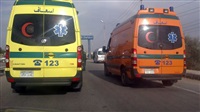 4 killed when shells