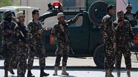 72 Daesh sympathizers
