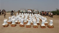 UAE sends food aid