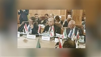 Egypt urges Arab