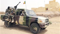 Mali says 'several