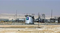 Saudi Aramco institutional