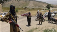 25 Taliban elements
