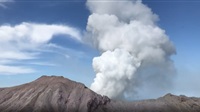 New Zealand volcano: