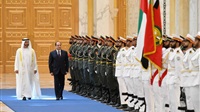 Sisi, bin Zayed witness