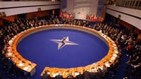 NATO options in the