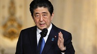 Japan PM Abe sticks