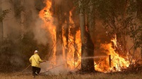 Australia bushfires: