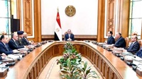 Sisi chairs meeting