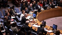 UN Security Council
