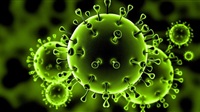 Amid coronavirus