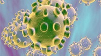Coronavirus: Dubai