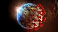 Coronavirus: who