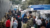 2 migrants shot on