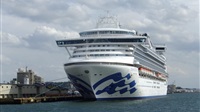 Cruise firms face