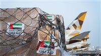 UAE aid arrives in