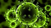 Coronavirus: Saudi