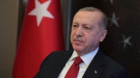 Erdogan seeks to