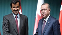 Turkey's role in