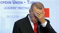 Erdogan plunges with
