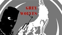 Grey wolves show