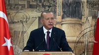 Erdogan grants Turkish