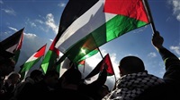 UAE rescuing Palestinians'