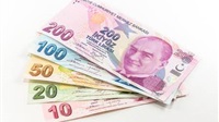 Turkish lira hits