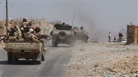 24 killed in clashes