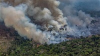Brazil wetland fires