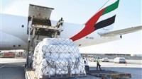 UAE sends aid to