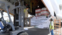 Plane carrying UAE