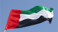 UAE continues efforts
