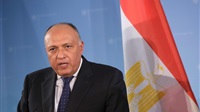 Egyptian FM in Greece