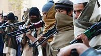 65 Taliban insurgents